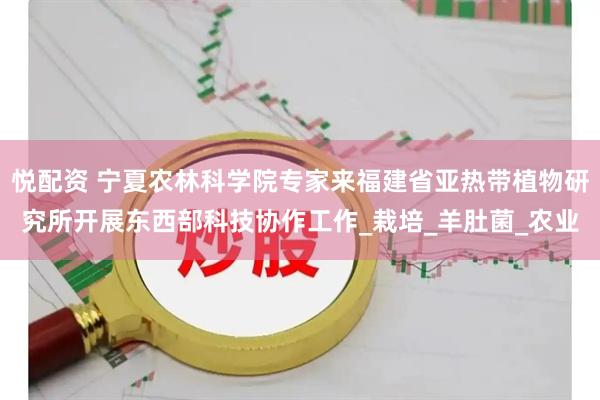 悦配资 宁夏农林科学院专家来福建省亚热带植物研究所开展东西部科技协作工作_栽培_羊肚菌_农业